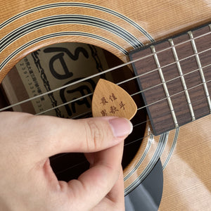 Personalized Guitar Picks with Case